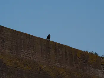 Fort Napoleon Oostende (België)